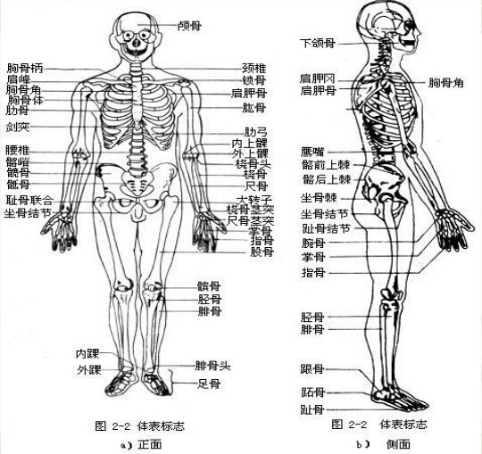 保健按摩师