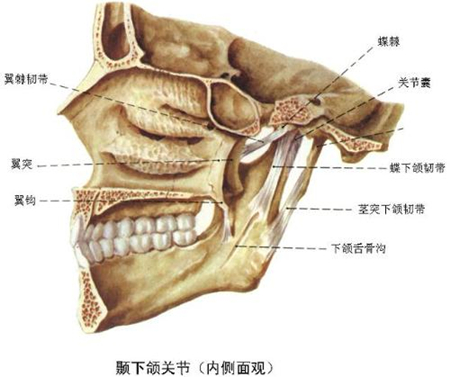 保健按摩师教材