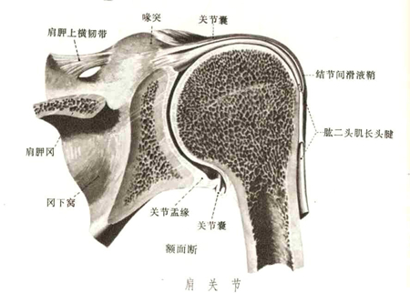保健按摩师培训