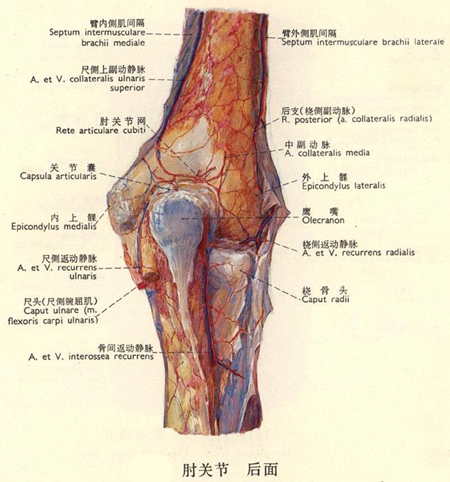 保健按摩师