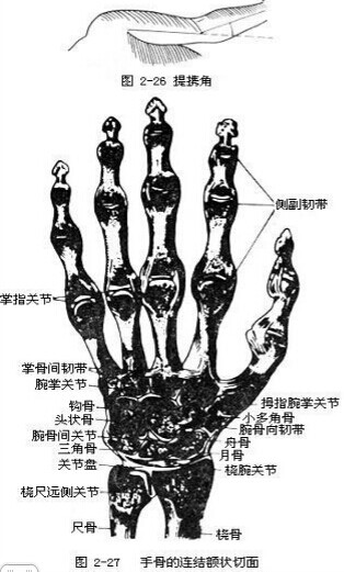 保健按摩师教材