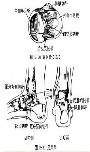 保健按摩师教材