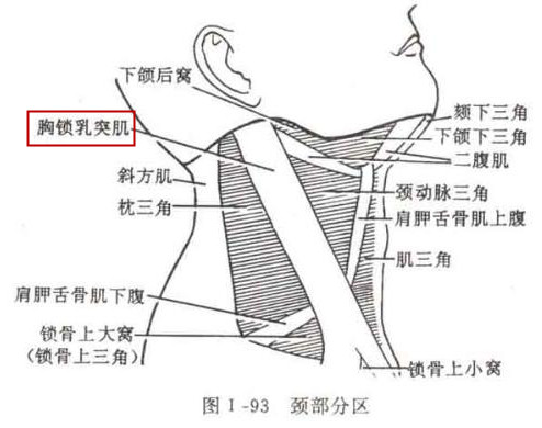 保健按摩师