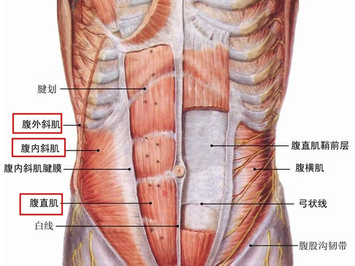 保健按摩师培训