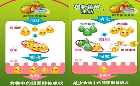 公共营养师教材
