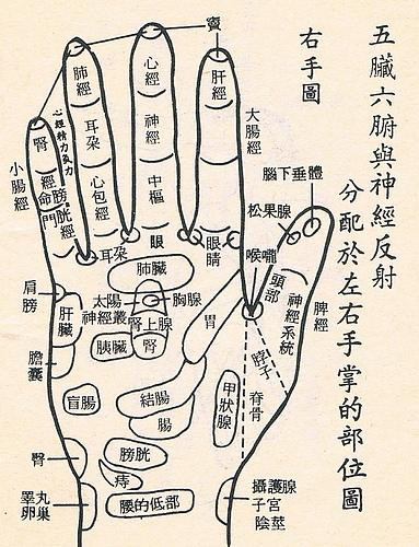 保健按摩师