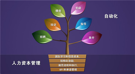 人力资源管理师