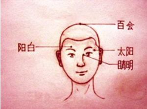 阳白穴