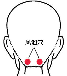 风池穴