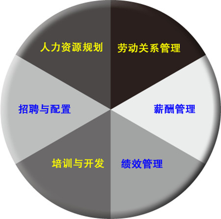 人力资源管理师