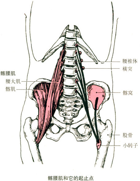 保健按摩师