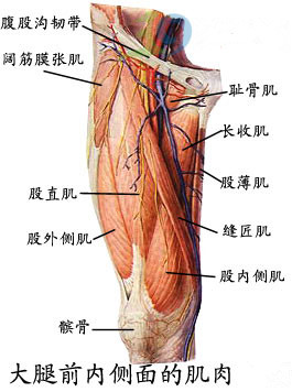 保健按摩师图片
