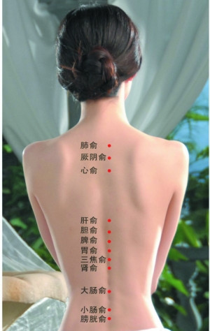 保健按摩师