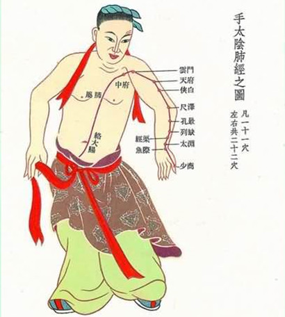 手太阴肺经