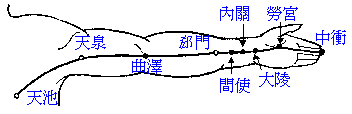 手厥阴心包经