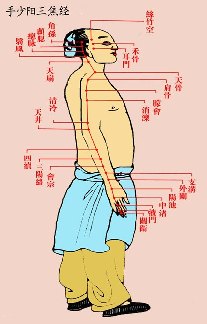 手少阳三焦经