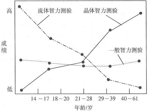 心理咨询师