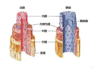 保健按摩师 保健按摩师
